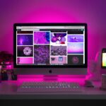 Siti internet ed Ecommerce